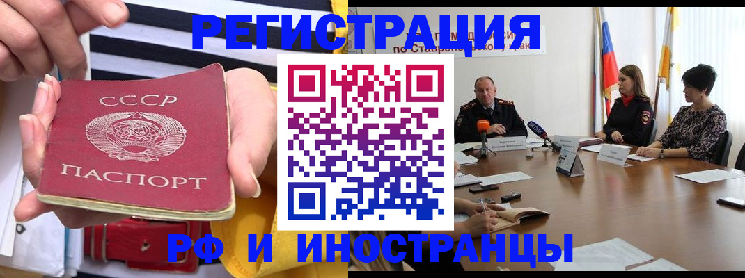 временная регистрация поиск в Димитровграде